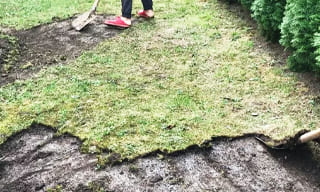 Снятие дерна старого газона в Сибае – от 524 руб. | 2Землекопа-Сба